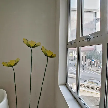 Spot Apartment